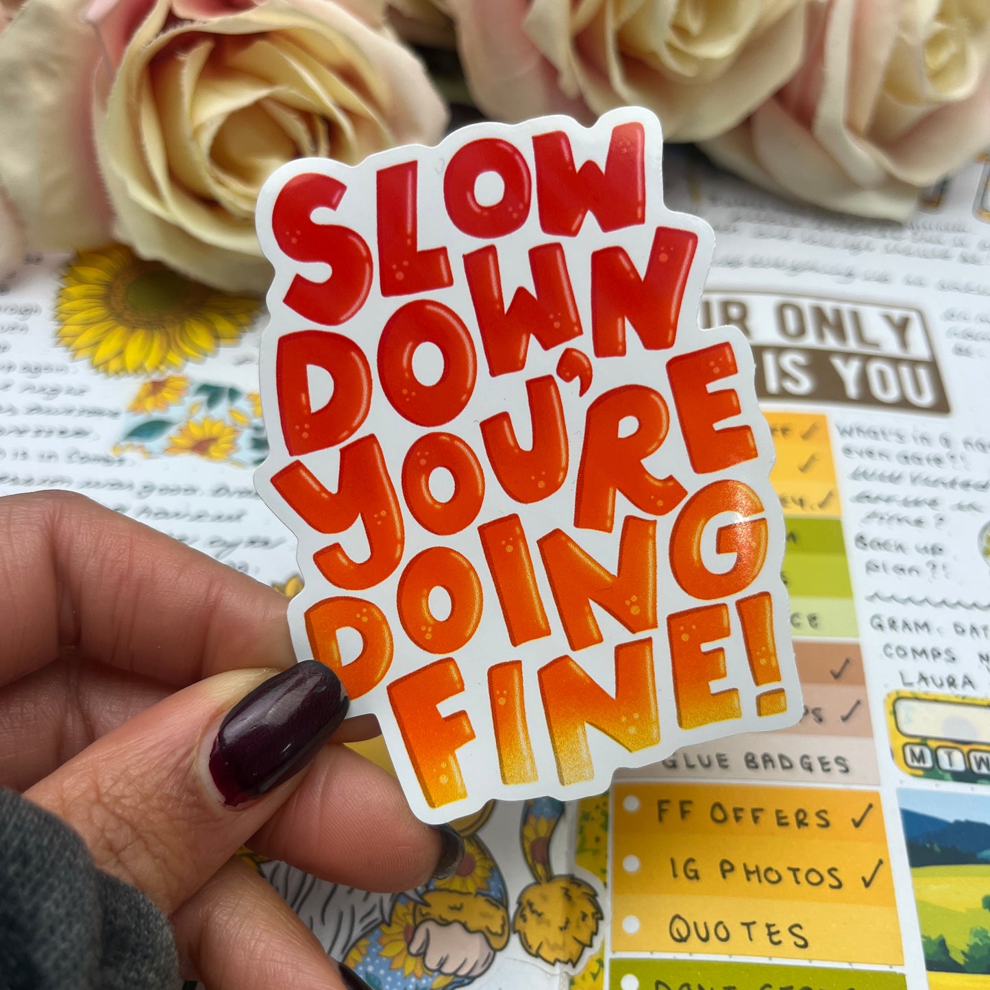 (0150) Slow down - vinyl sticker