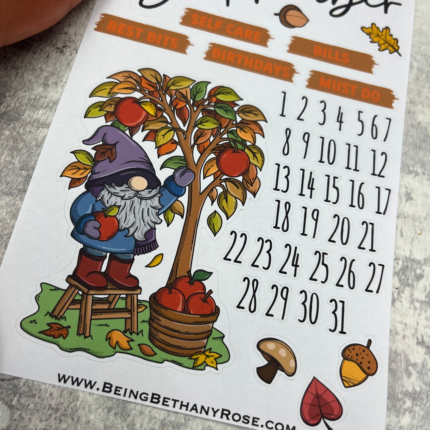 September - Stevie Autumn- Month journal planner stickers (DPD3454)