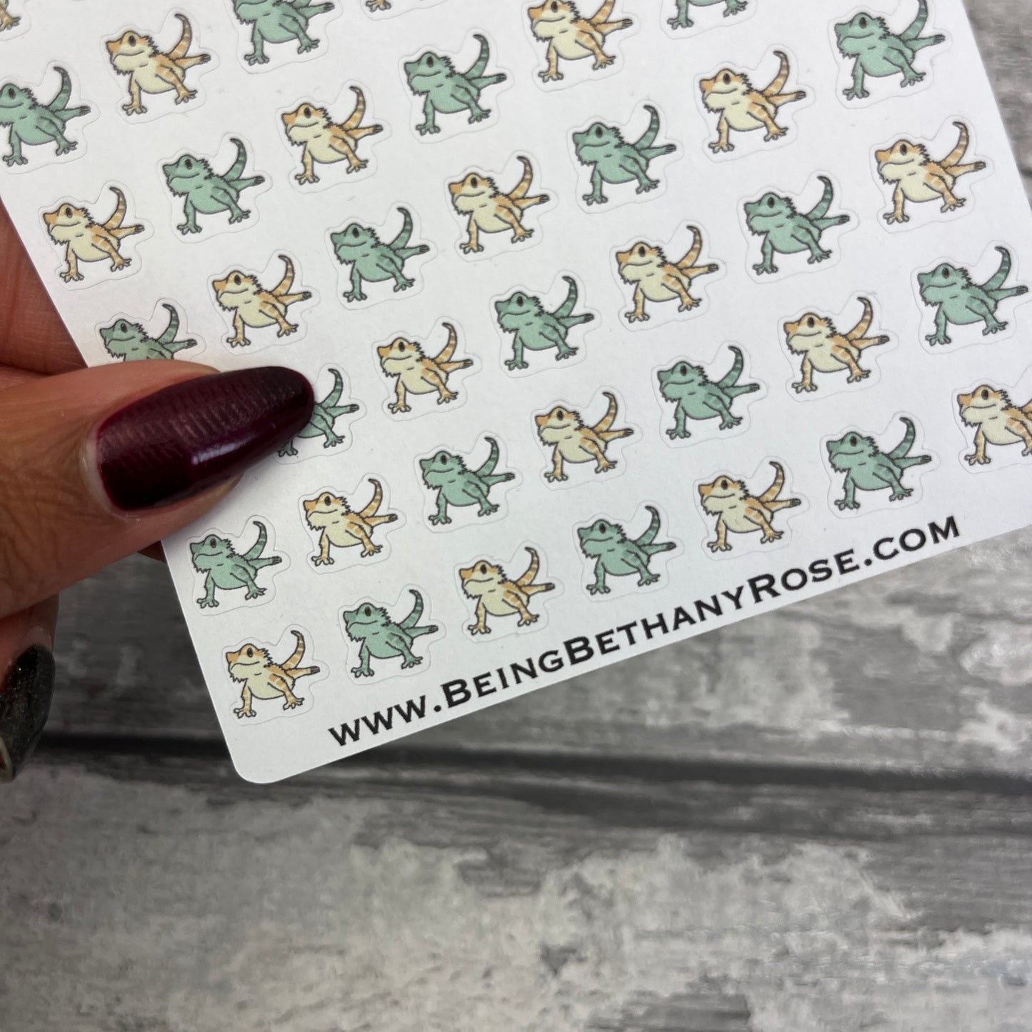 Tiny Bearded dragons (Dinkies) (DPD-D059)