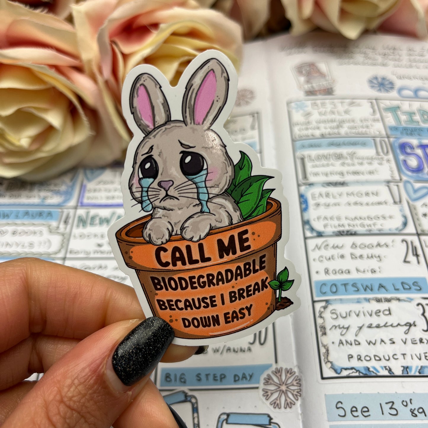 (155) Call me biodegradable rabbit - vinyl sticker