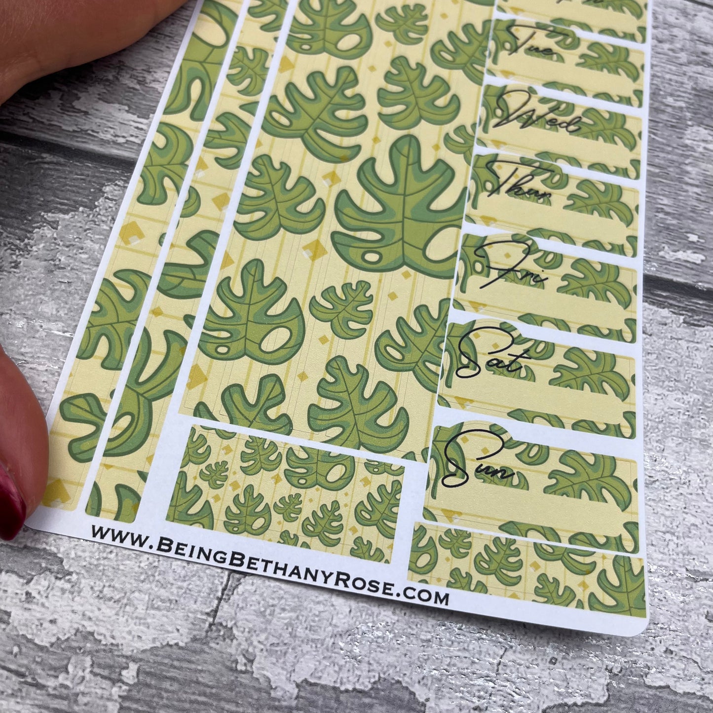 One sheet week planner stickers - Monica (DPD3271)