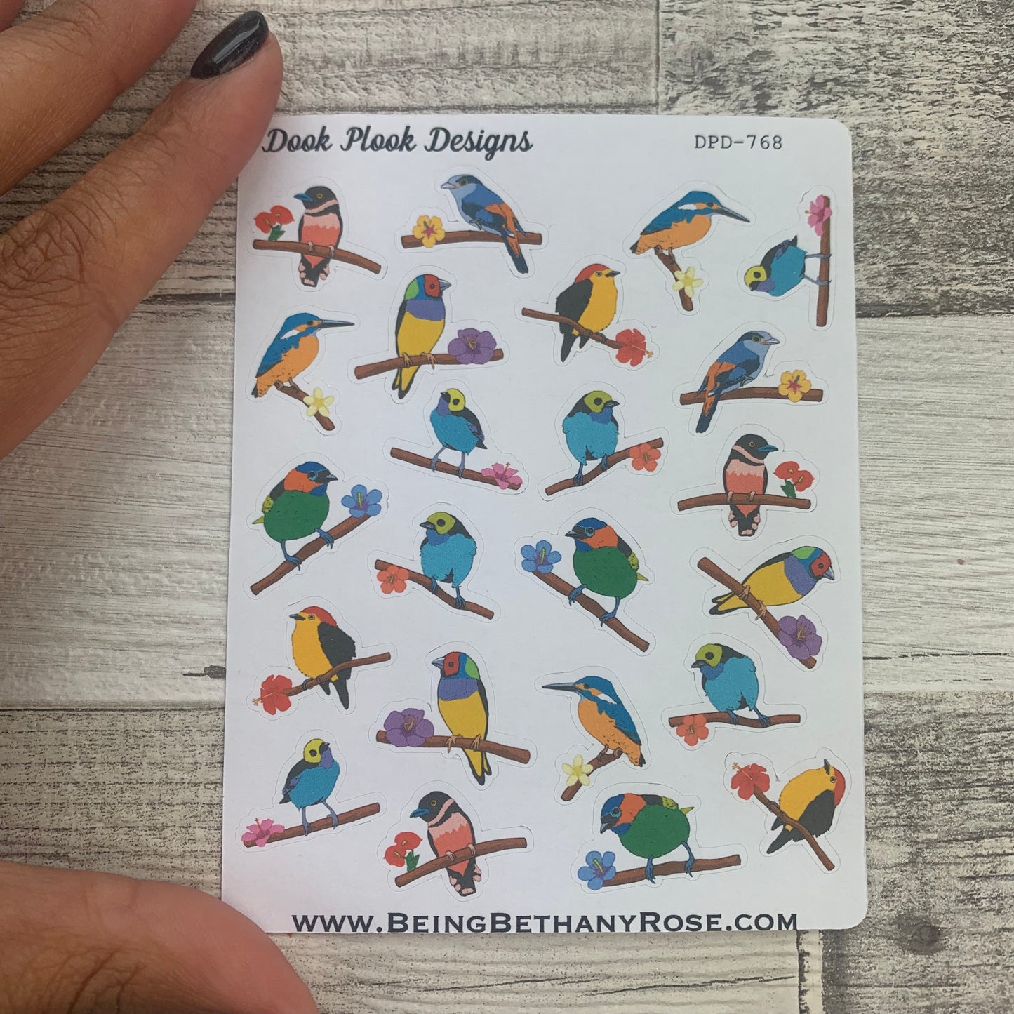 Decorative bird stickers (DPD768)