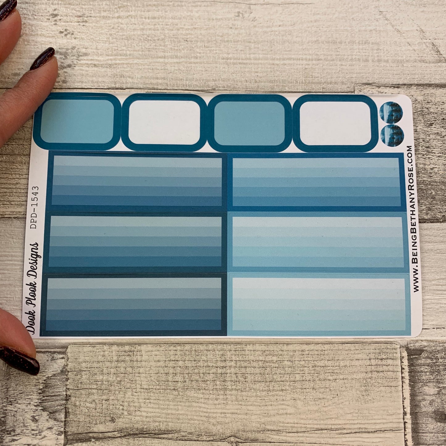 Blue Mountain Passion Planner Week Kit (DPD1543)