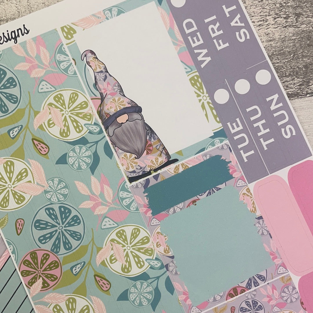 Marissa Gonk Passion Planner Week Kit (DPD2588)