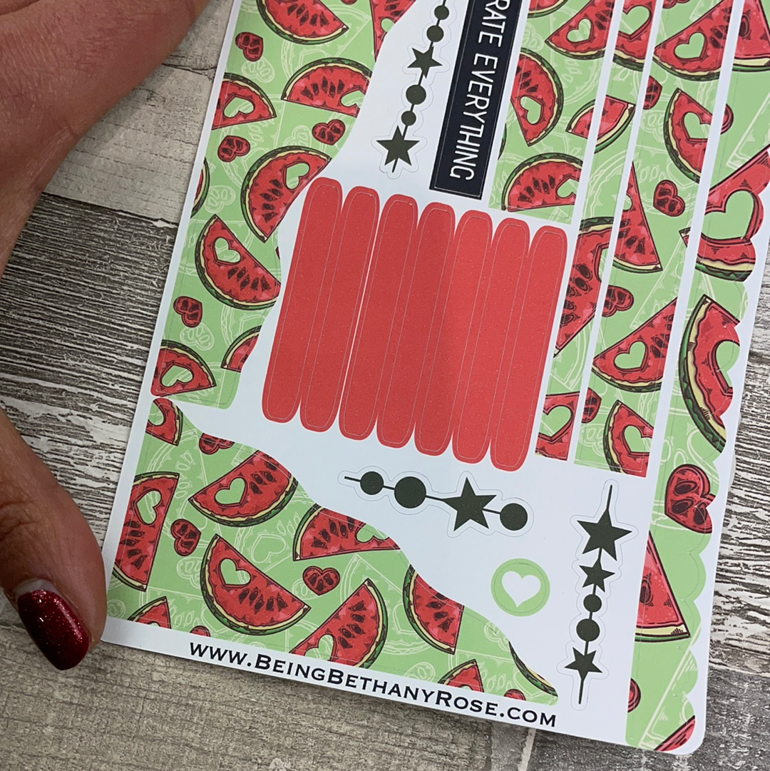 (0424) Passion Planner Daily Wave stickers - Watermelon Crush