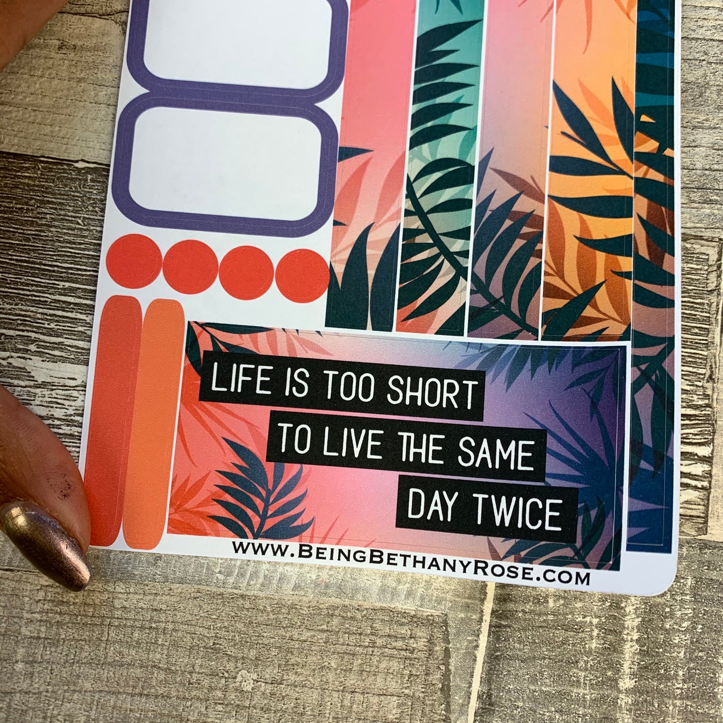 (0195) Passion Planner Daily stickers - Life is...
