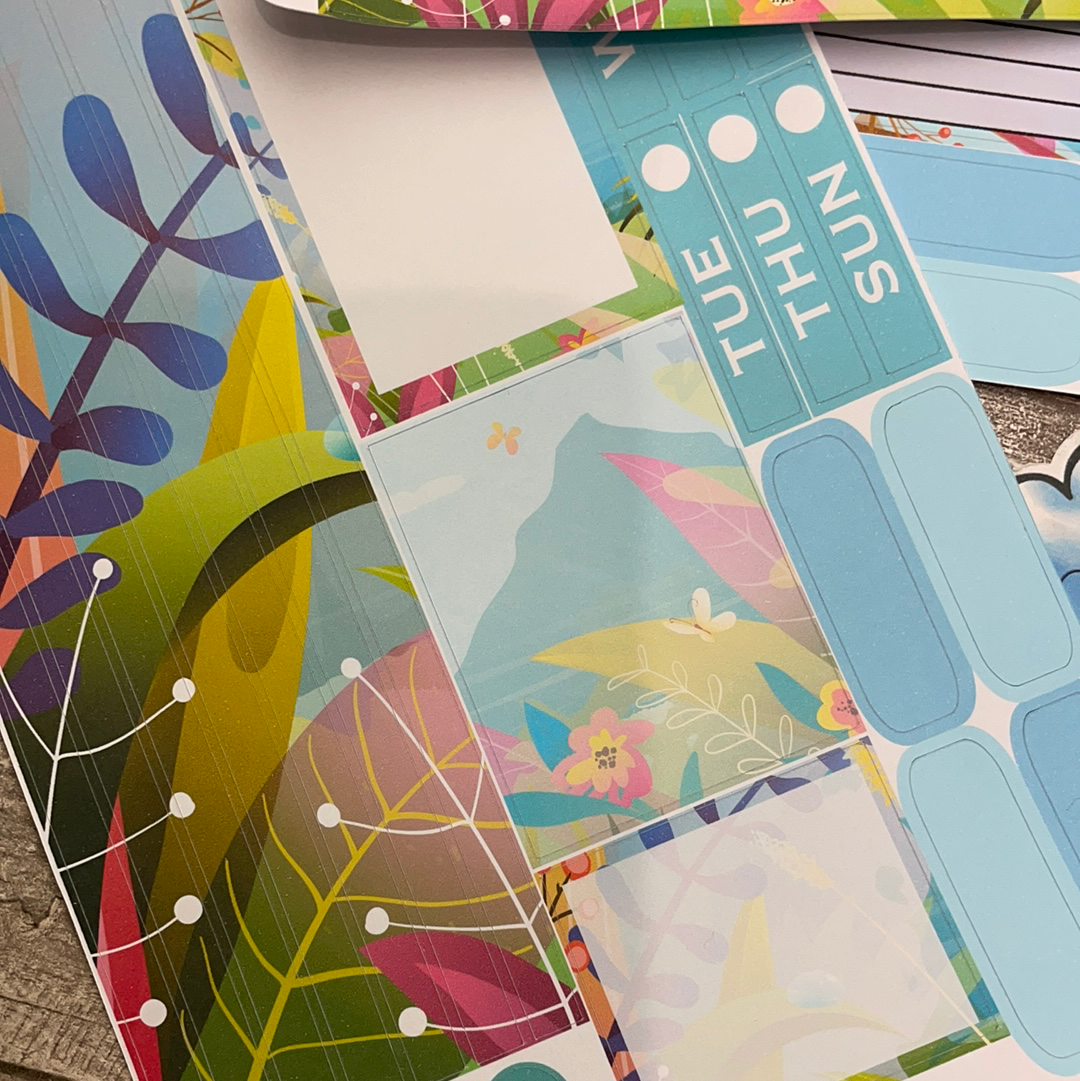 Go Forth Passion Planner Week Kit (DPD2120)