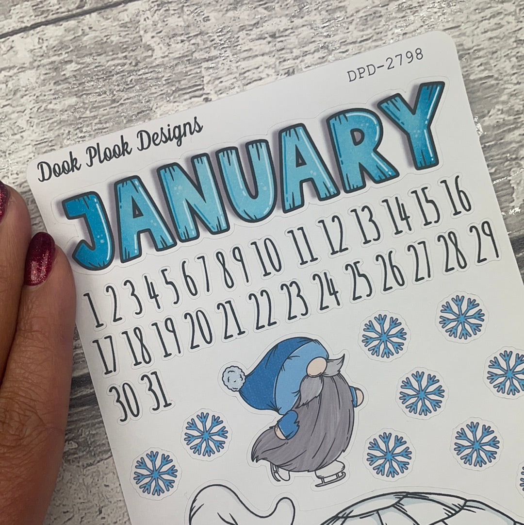 January planner stickers (DPD2829)