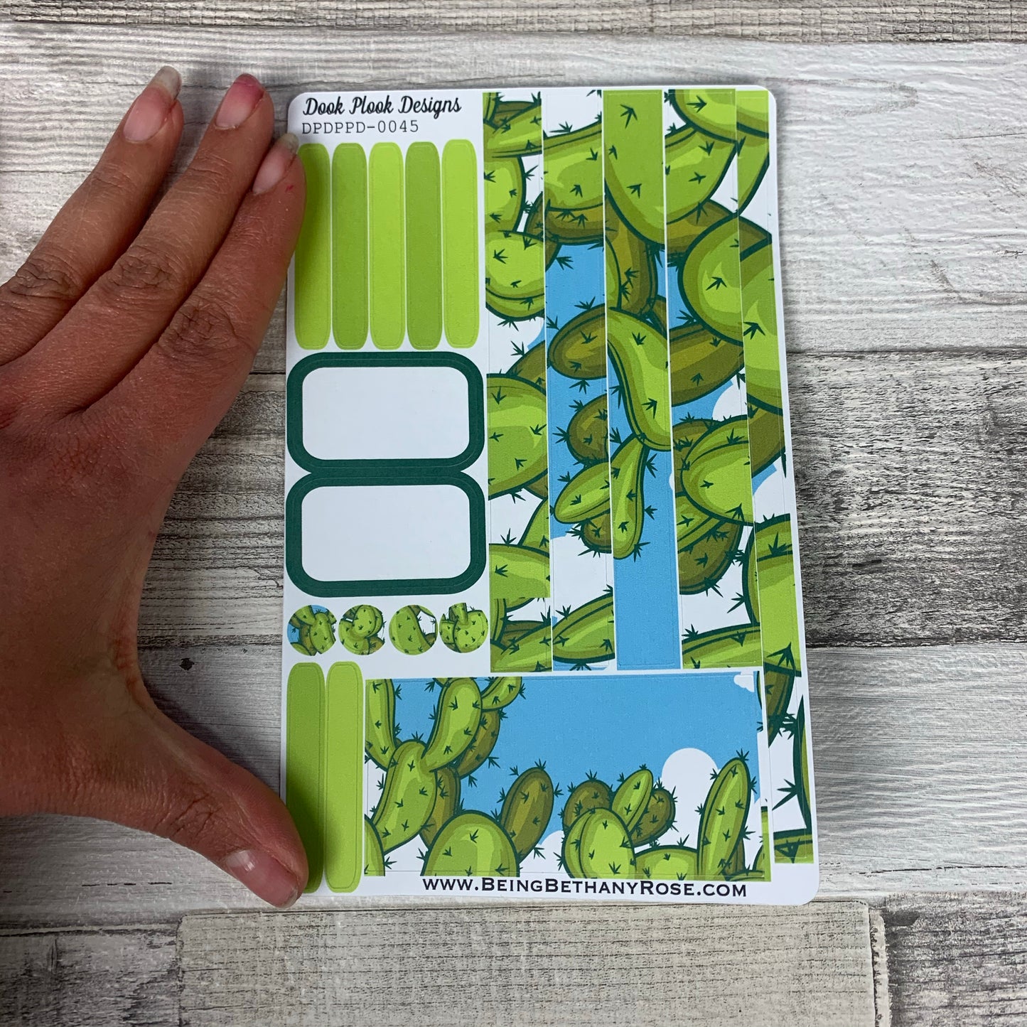 (0045) Passion Planner Daily stickers - Bold Cactus