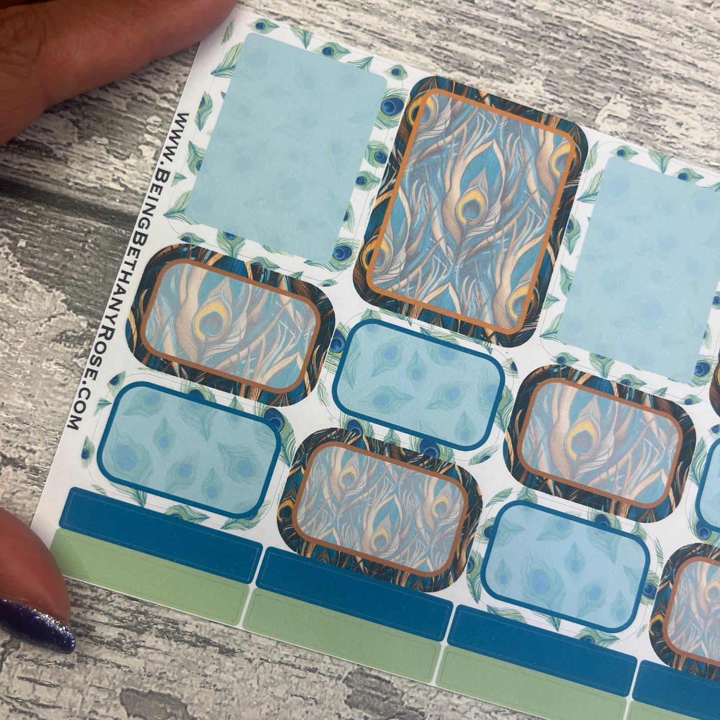 Penelope Peacock boxes planner stickers (DPD3312)