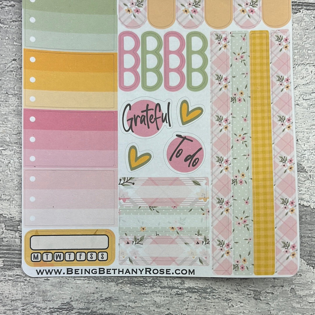 Leila Gonk functional planner stickers (DPD3176)