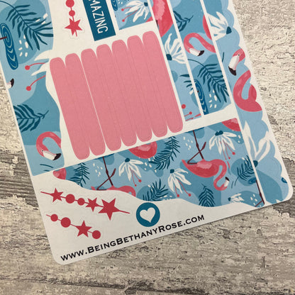 (0755) Passion Planner Daily Wave stickers - Frankie Flamingo