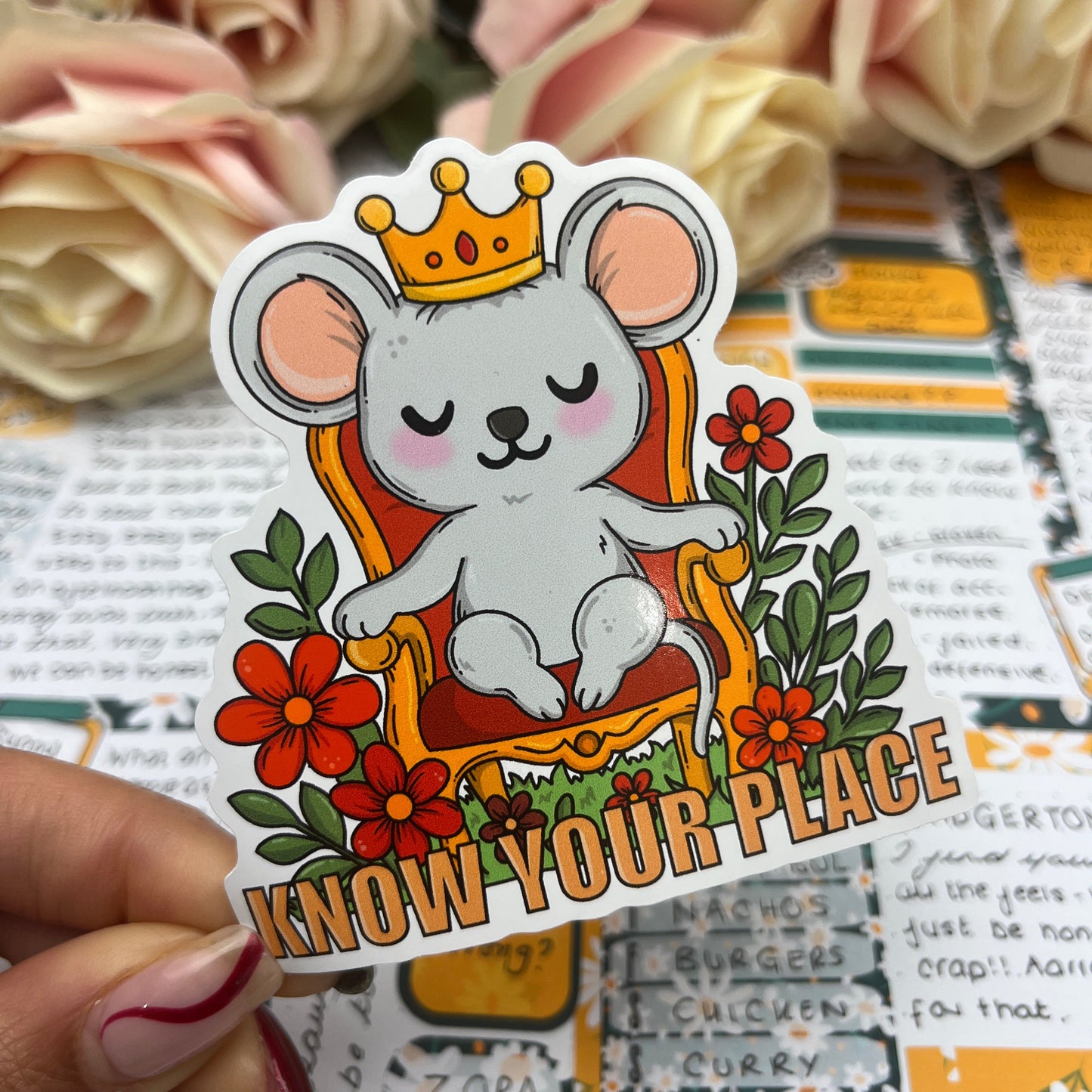 (163) Know your place  - vinyl sticker