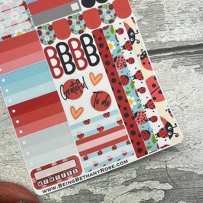 Ruby Ladybird functional planner stickers (DPD3128)