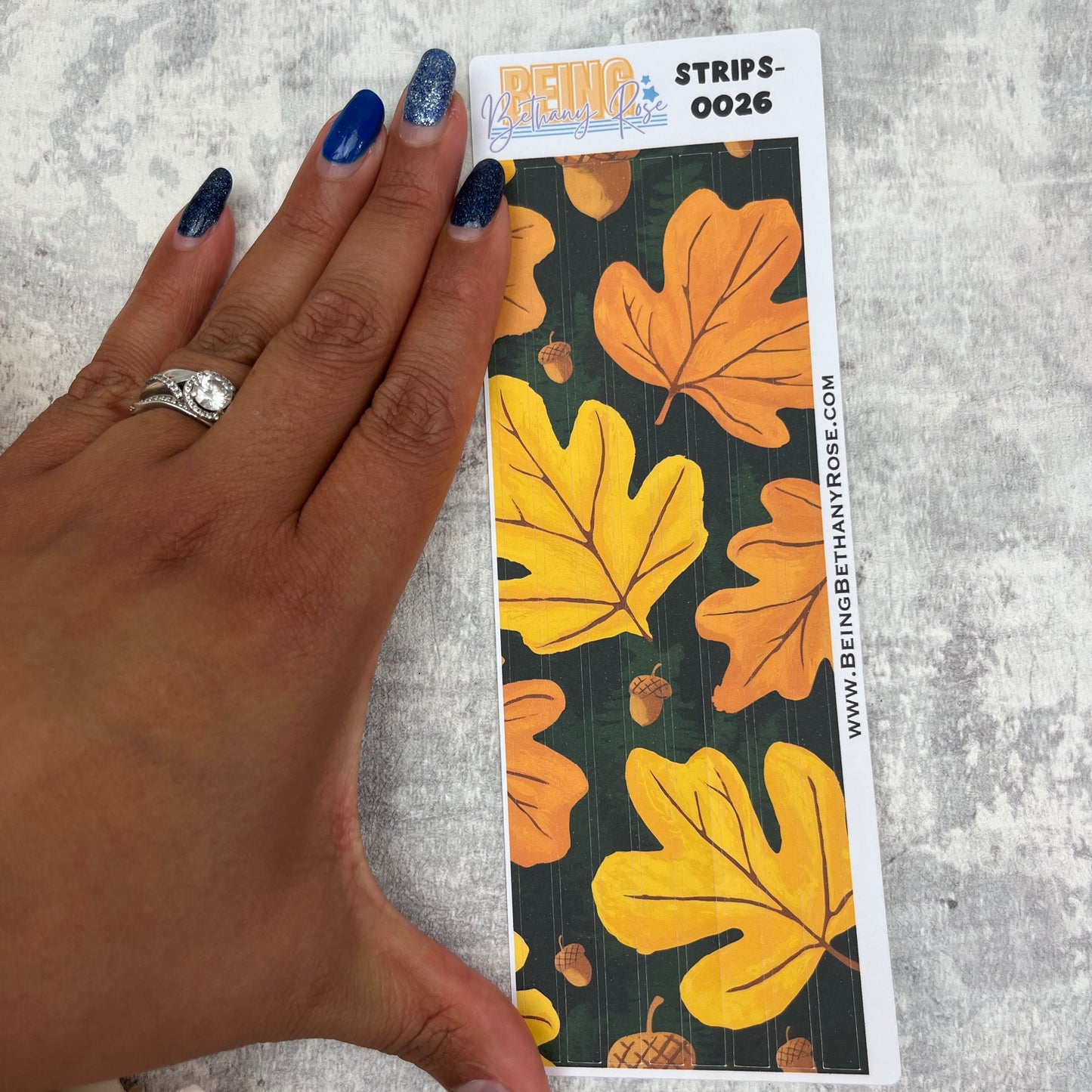 Stevie Autumn - thin washi style strip stickers (BBRSTRIPS-0026)