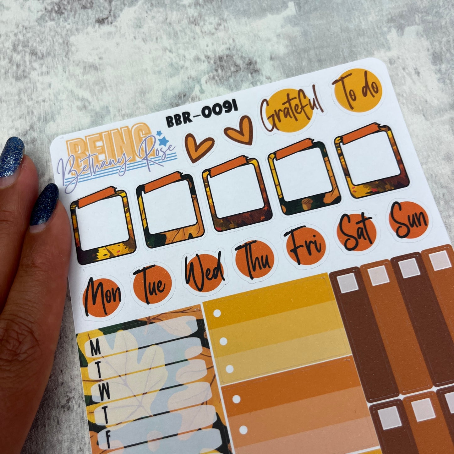 Stevie Autumn functional planner stickers (BBR-0091)