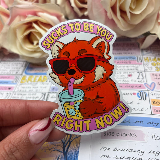 (161)  Sucks to be you right now  - vinyl sticker