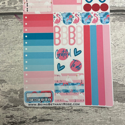 Frankie Flamingo Gonk functional planner stickers (DPD3268)