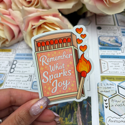 (167) Remember what sparks joy- vinyl sticker