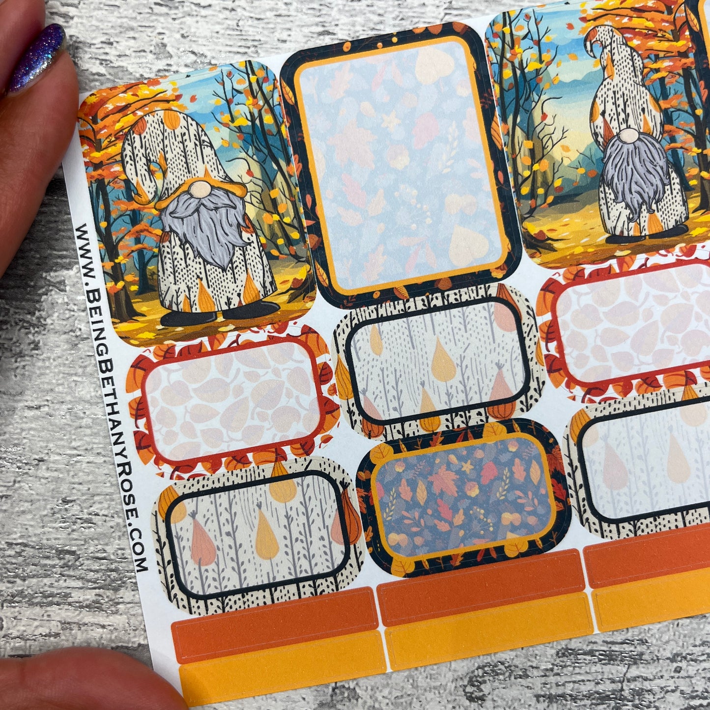 Rowan Autumn boxes planner stickers (DPD3323)