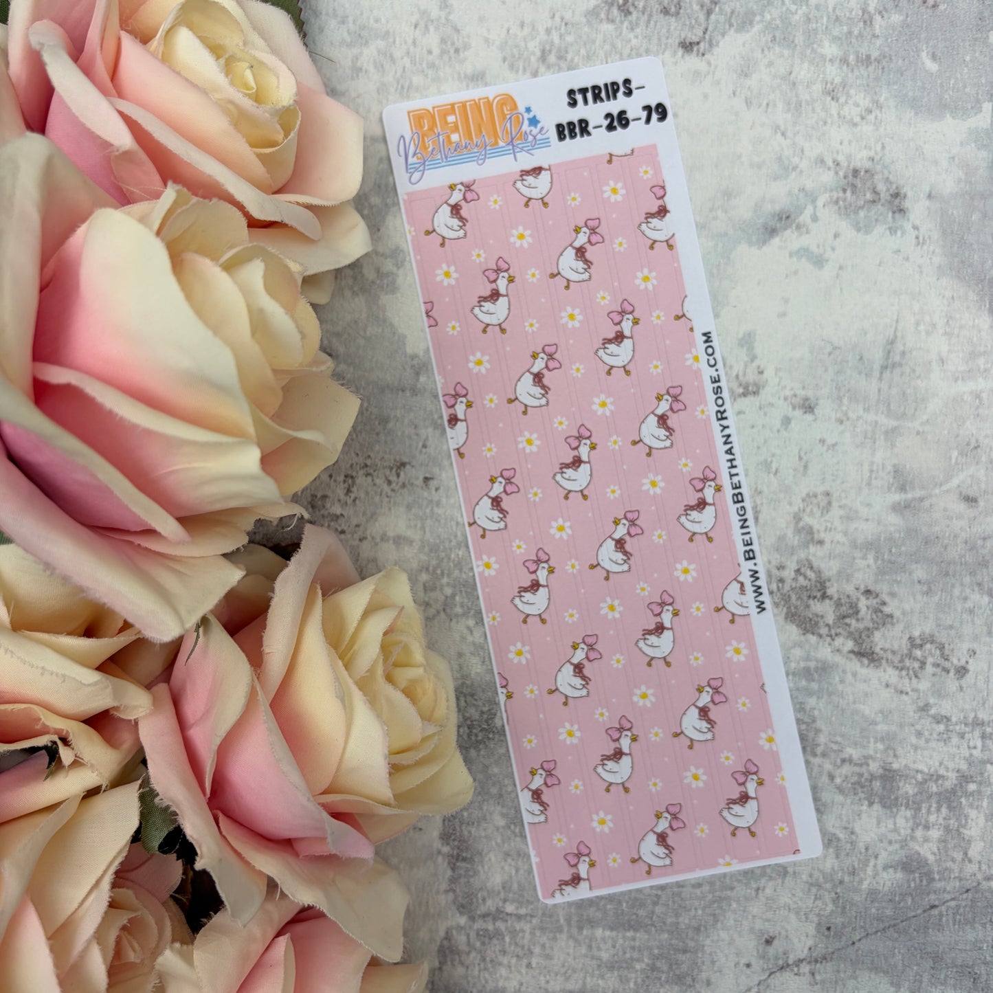 I’m too pretty for this bird sticker kit (KIT2683)