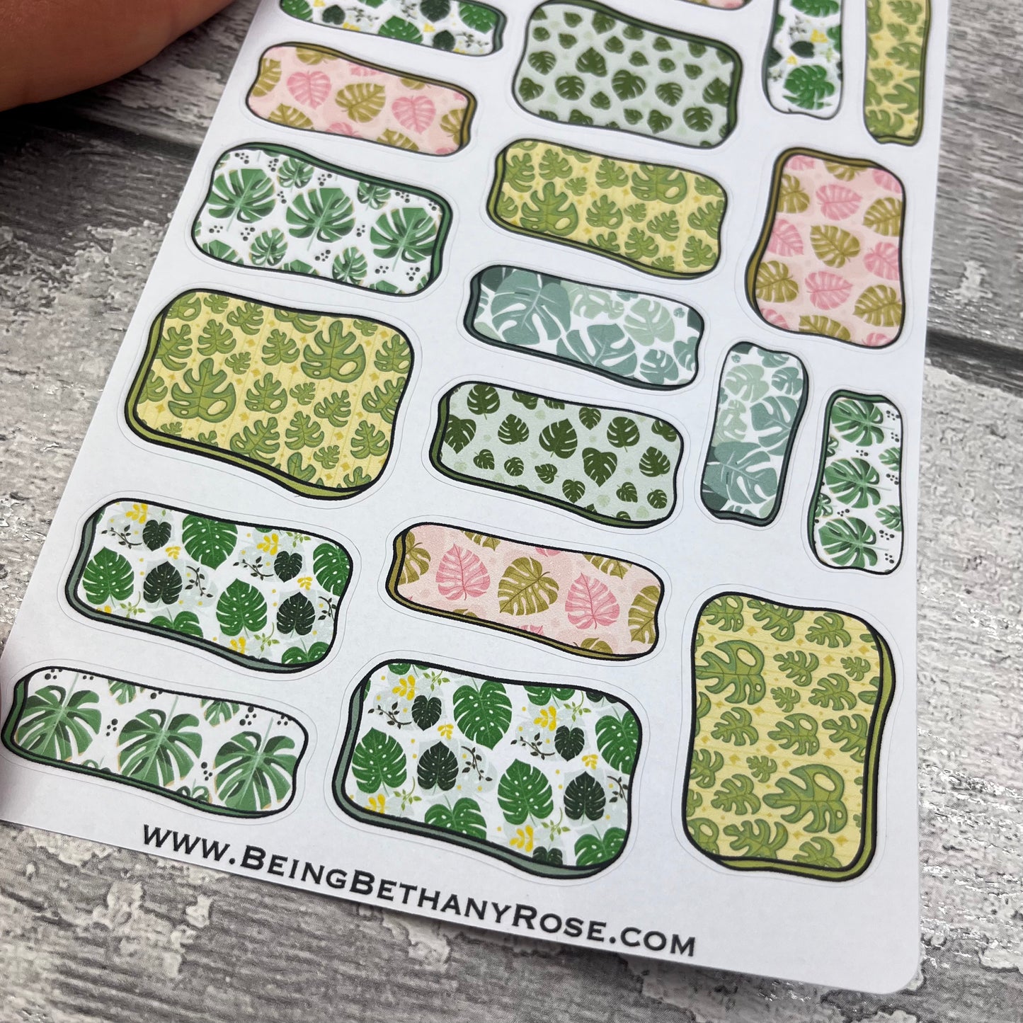 Monica Hand drawn box stickers (DPD3270)