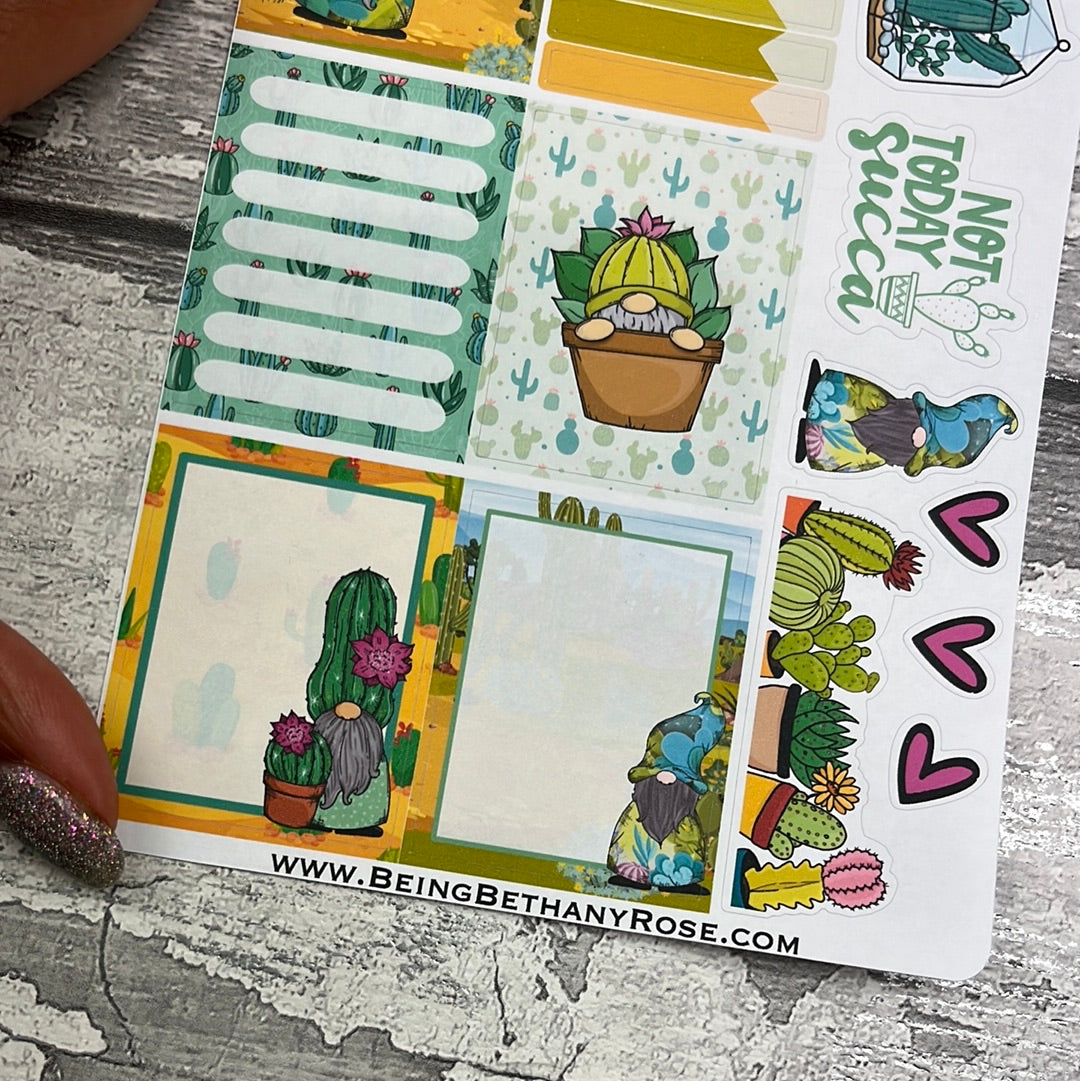 Callie Cactus Boxes Journal planner stickers (DPD2994)