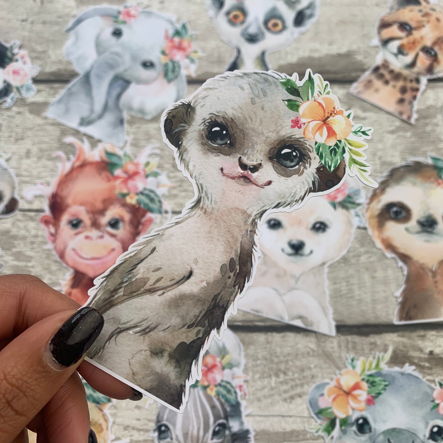 Meerkat Die cut