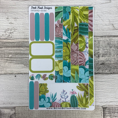 (0046) Passion Planner Daily stickers - succulents