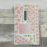 (0410) Passion Planner Daily Wave stickers - Pink Peach