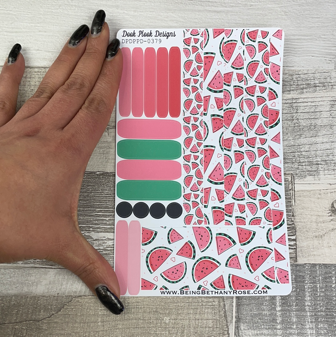 (379) Passion Planner Daily stickers - Watermelon