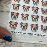 Bulldog stickers  (DPD504)