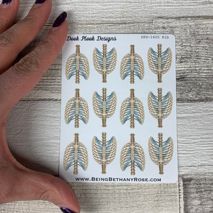 Anatomy Skeleon stickers (skull pelvis spine ribs) stickers (DPD1065)