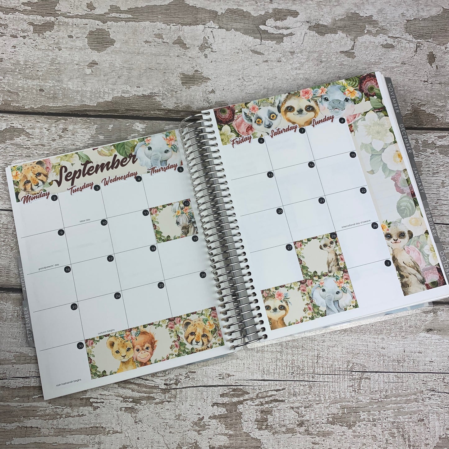 Watercolour Animal (can change month) Monthly View Kit for the Erin Condren Planners