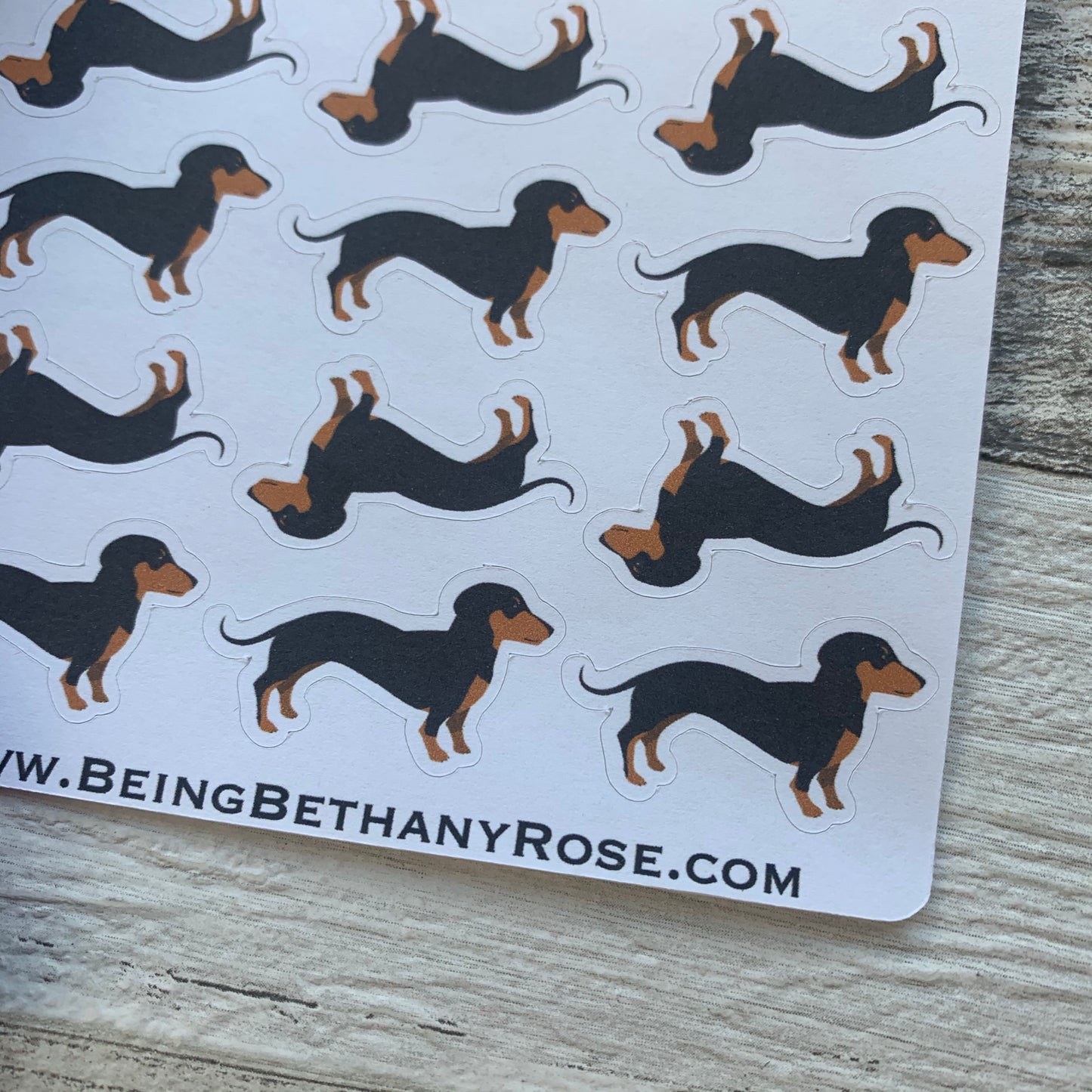 Dachshund (sausage dog) stickers (DPD506)