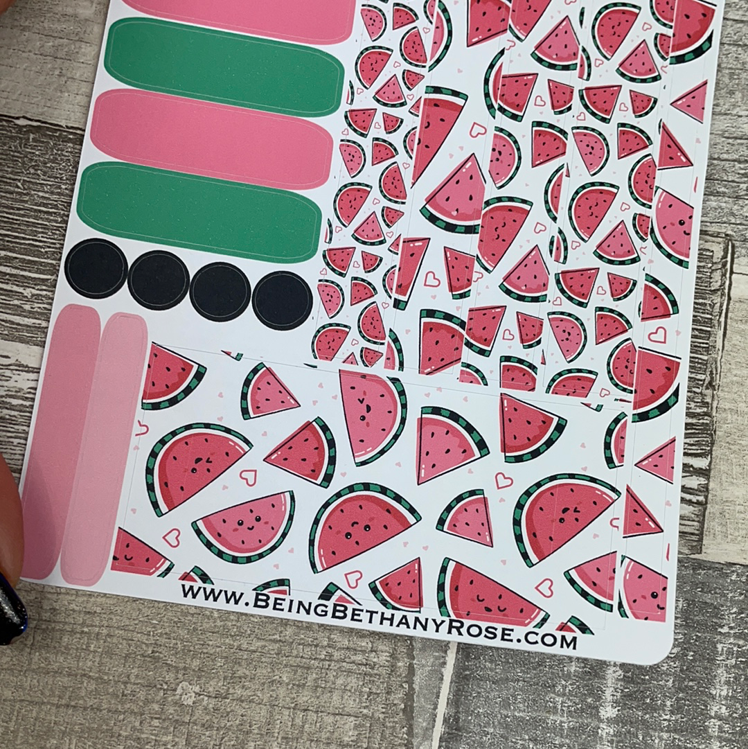 (379) Passion Planner Daily stickers - Watermelon