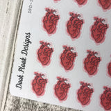 Anatomy stickers (brain heart ribs) stickers (DPD1028)