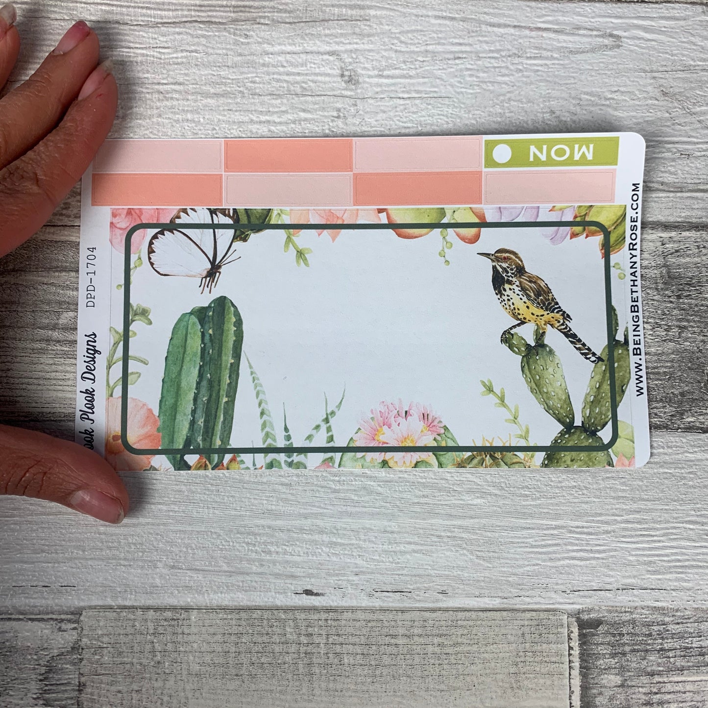 Succulents and bird Passion Planner Week Kit (DPD1704)