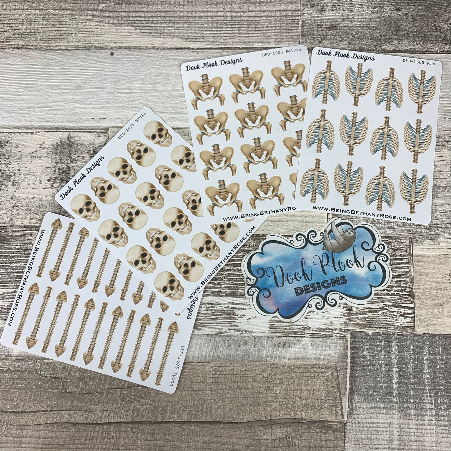 Anatomy Skeleon stickers (skull pelvis spine ribs) stickers (DPD1065)