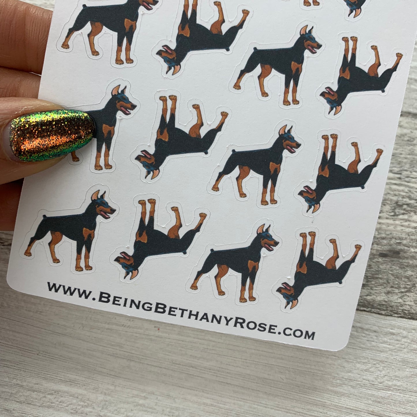 Doberman stickers (DPD916)