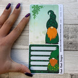 Erin Condren Month dashboard / Note Pages (St Patrick Day)