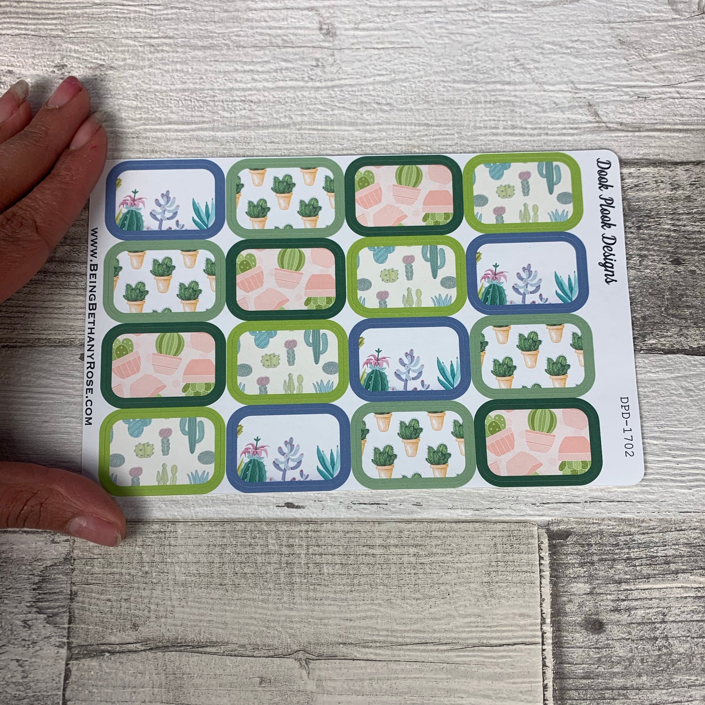 Cactus half box stickers (DPD1702)