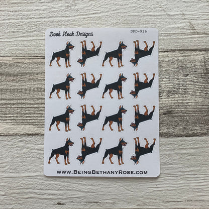 Doberman stickers (DPD916)