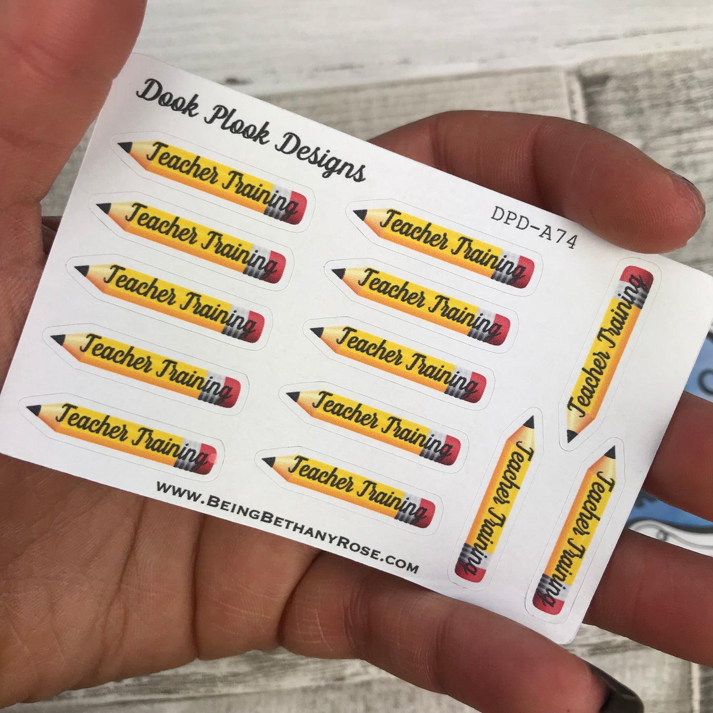Teacher Training stickers (Small Sampler Size) A74