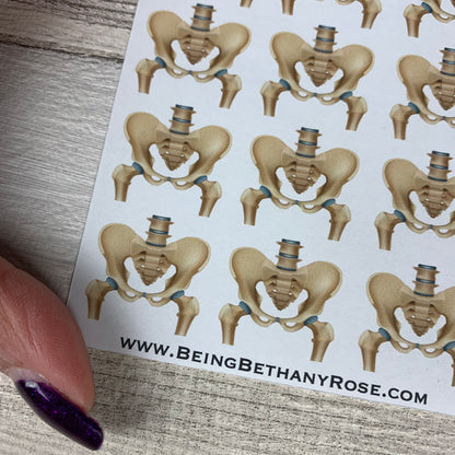 Anatomy Skeleon stickers (skull pelvis spine ribs) stickers (DPD1065)