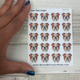 Bulldog stickers  (DPD504)
