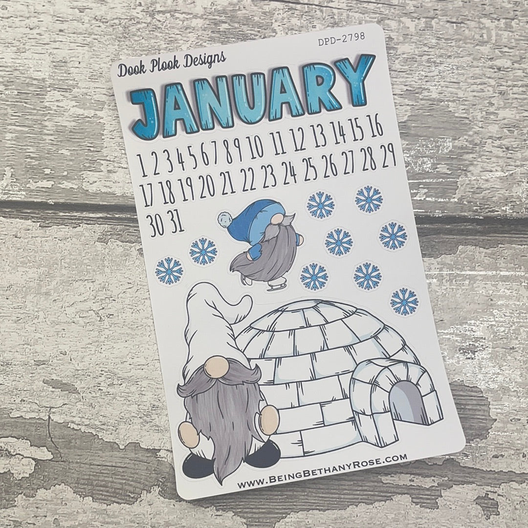 January planner stickers (DPD2829)