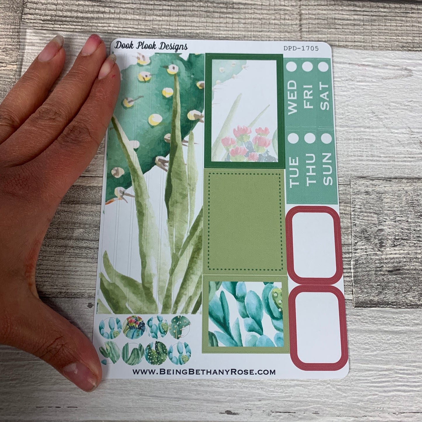 Watercolour Cactus Passion Planner Week Kit (DPD1705)