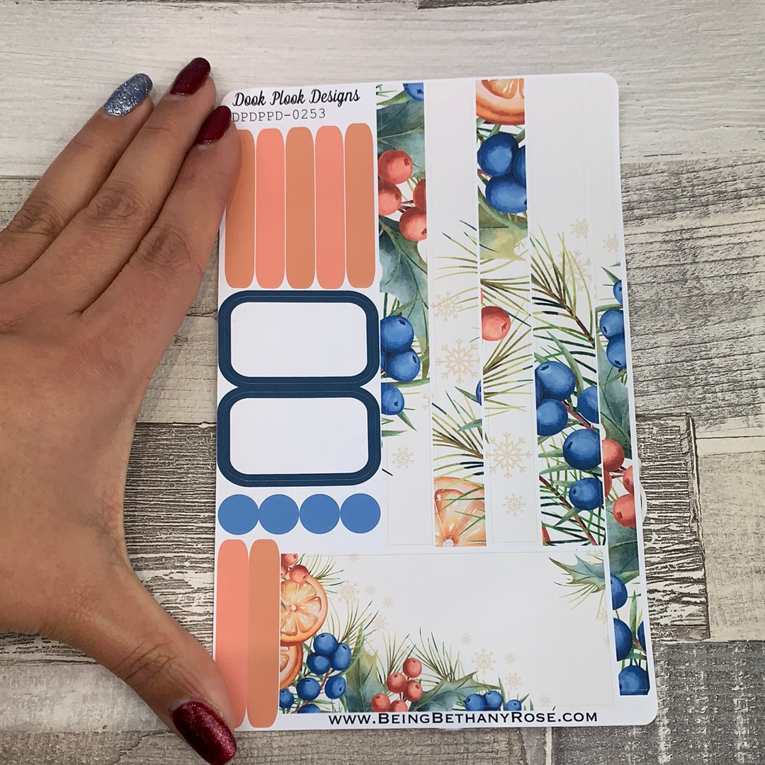 (0253) Passion Planner Daily stickers - berries