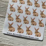 Rabbit stickers (DPD501)